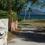 Sami Nefeli *