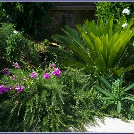 Sami Nefeli דירה קרבומילוס