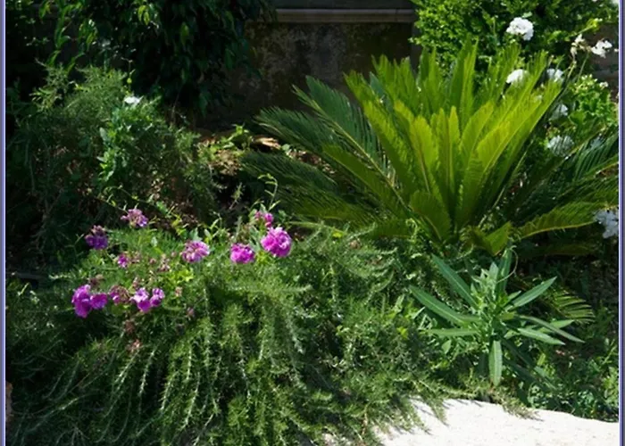 Sami Nefeli דירה קרבומילוס